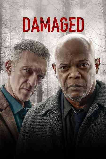 Damaged | Rtally