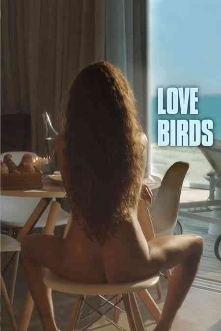 18+  Love Birds | Rtally