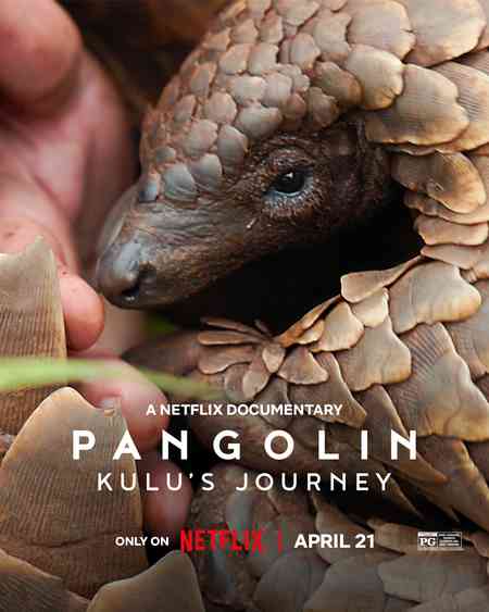 Pangolin: Kulu’s Journey | Rtally