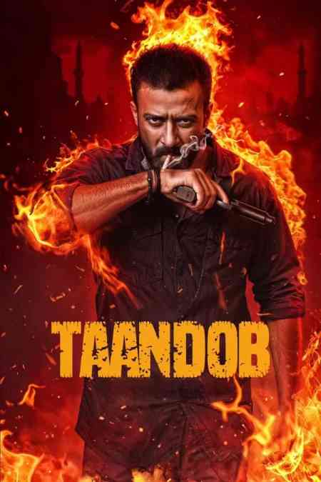 Taandob | Rtally