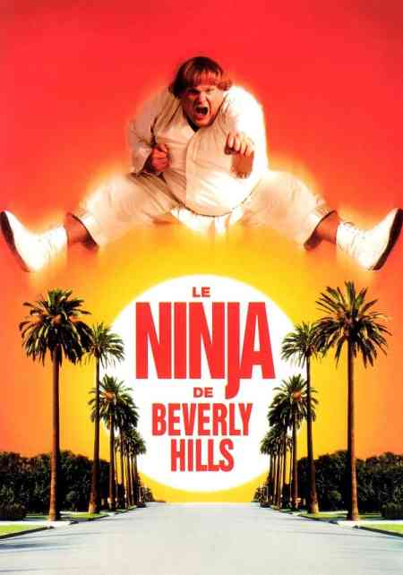 Beverly Hills Ninja | Rtally