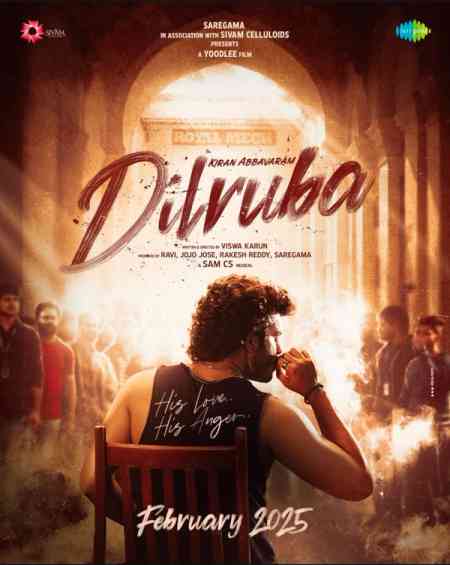 Dilruba | Rtally