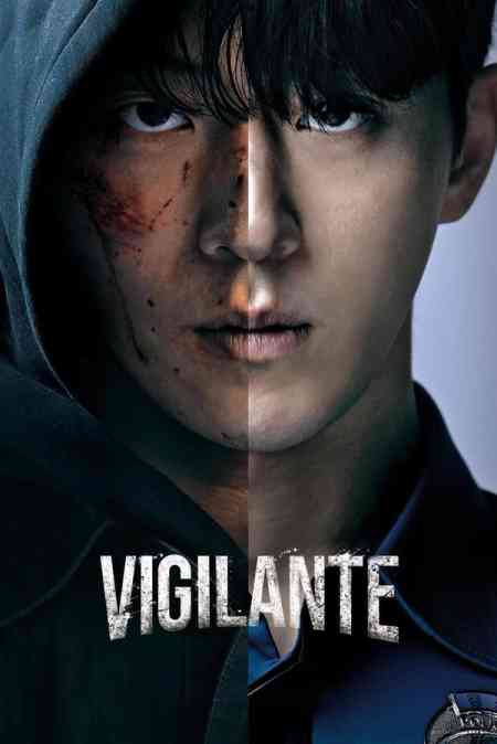 Vigilante Season 1 | Rtally
