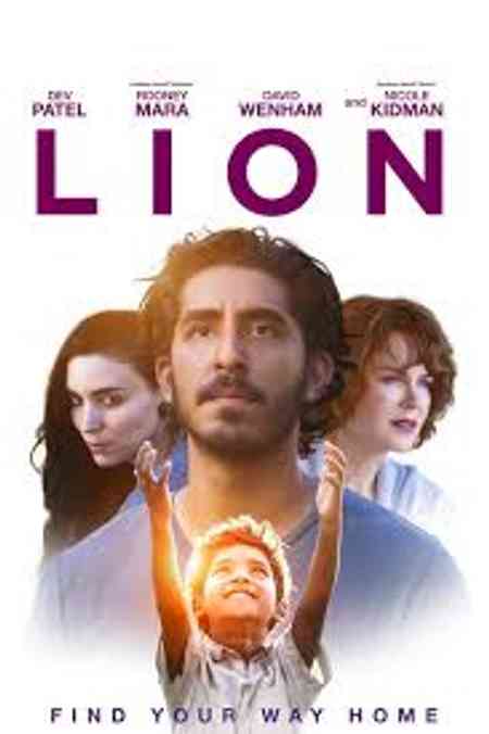 Lion | Rtally