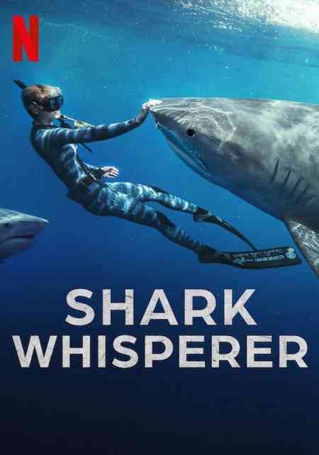 Shark Whisperer | Rtally