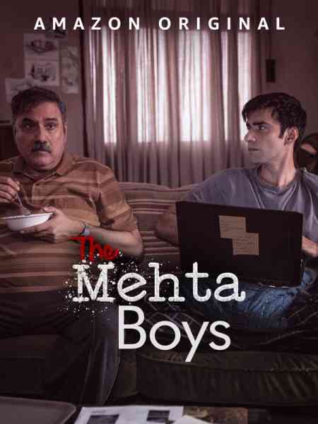 The Mehta Boys | Rtally